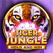 Giao diện chơi Baccarat thân thiện trên di động tại pg666