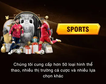 Hình ảnh minh họa các tổ chức hỗ trợ bên ngoài